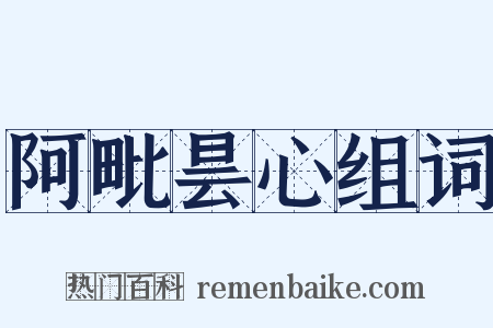 阿毗昙心组词是什么意思的图片